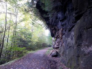 Restoration on Deckers Creek Trail to begin
